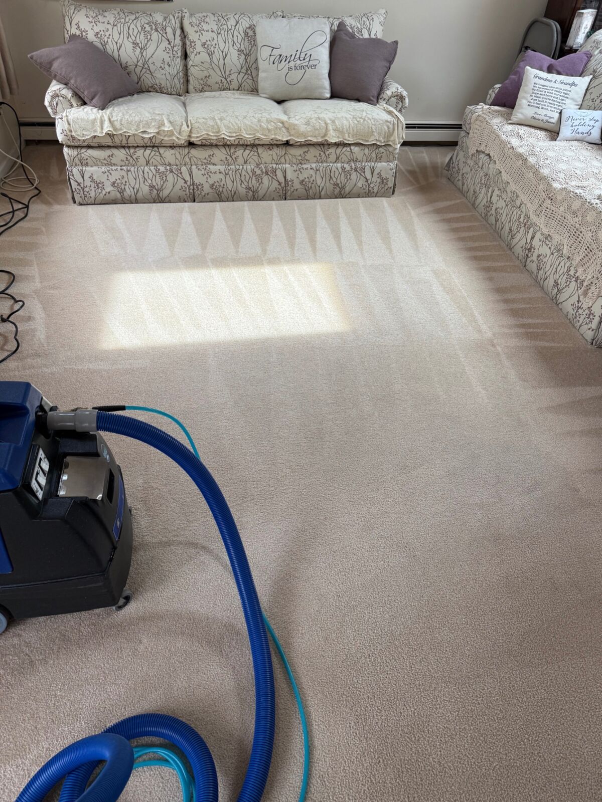 Freshly cleaned living room carpet