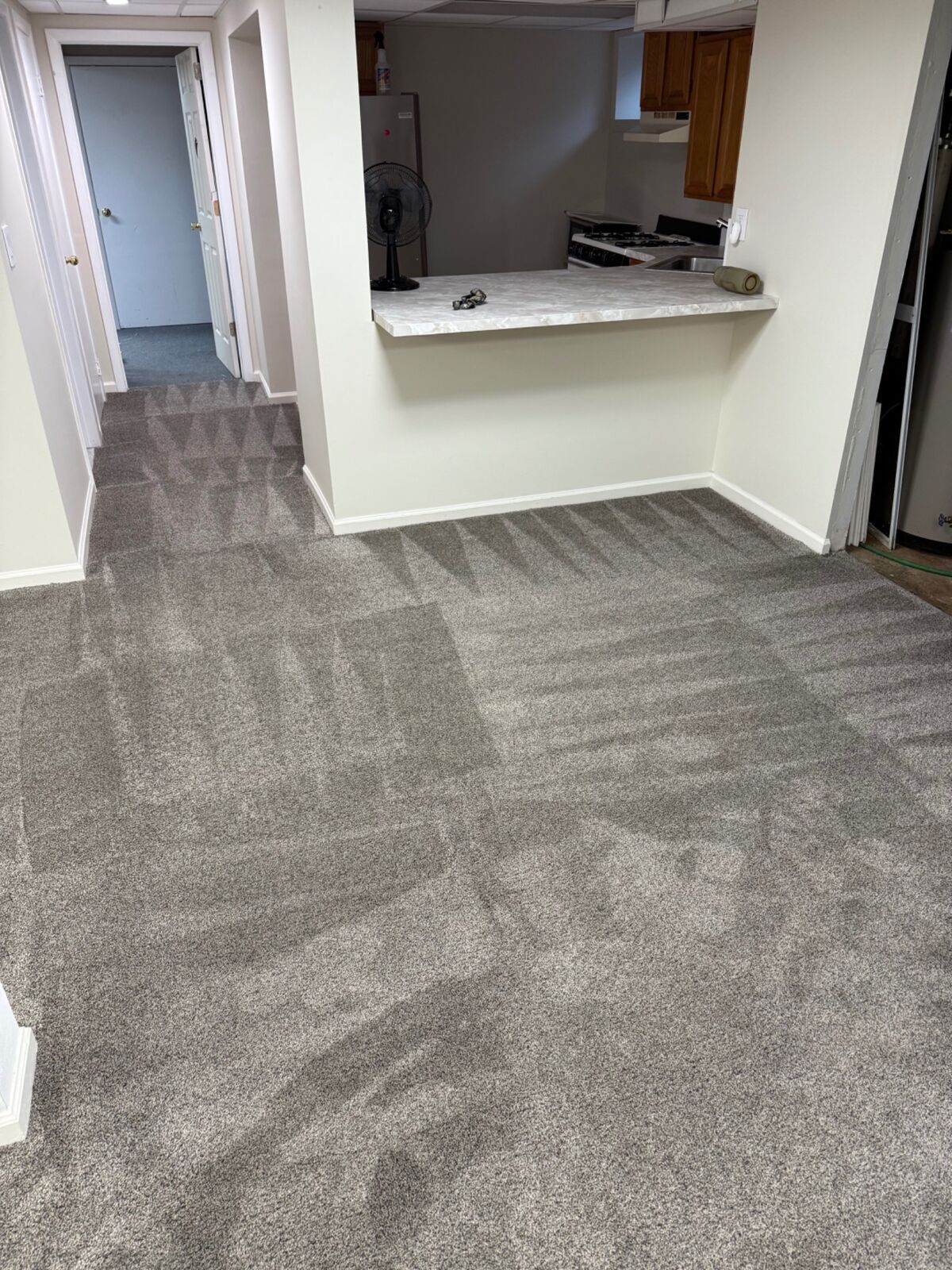 Freshly cleaned carpet in a Long Island home
