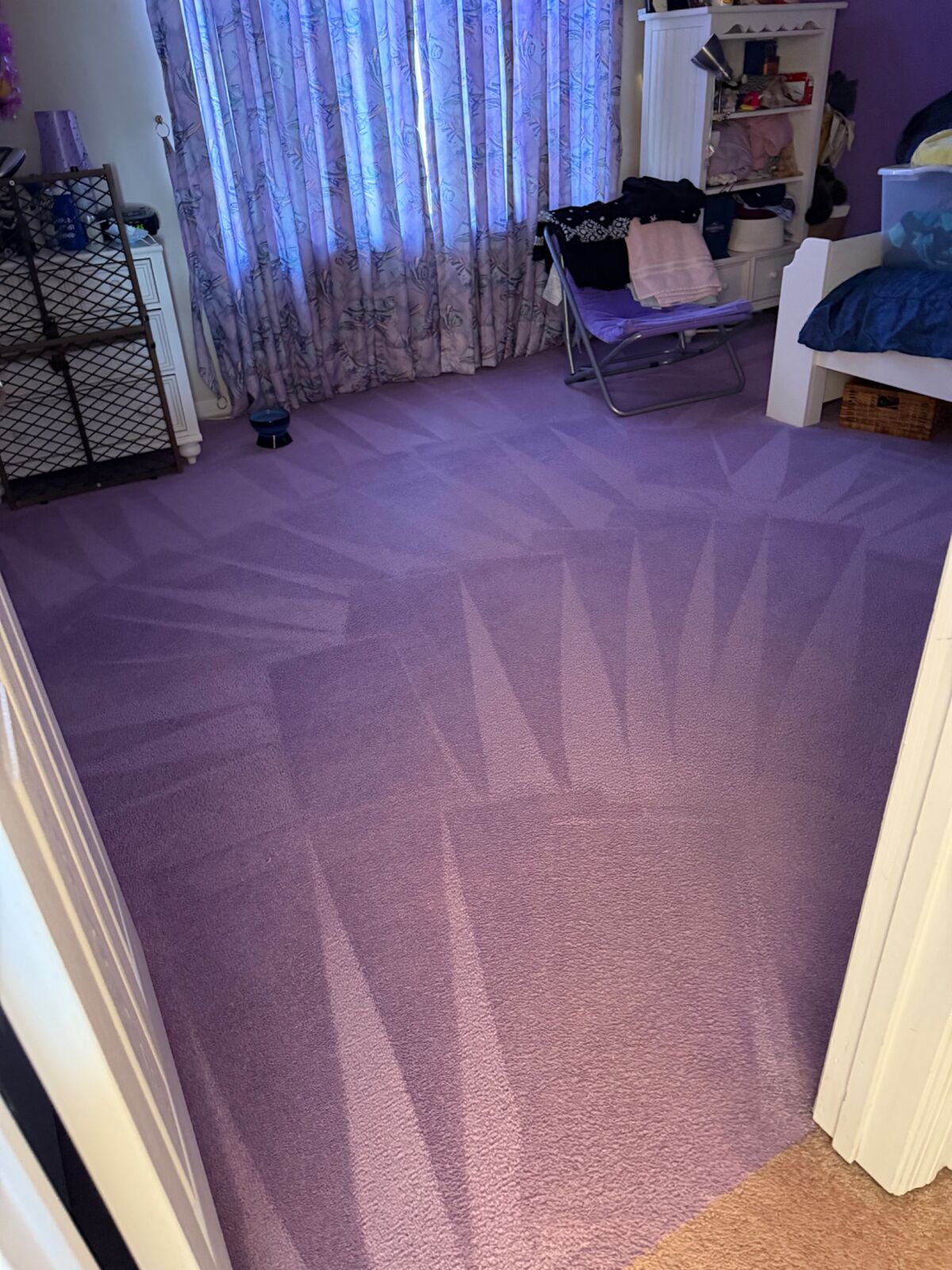 Carpet Cleaning service on Long Island