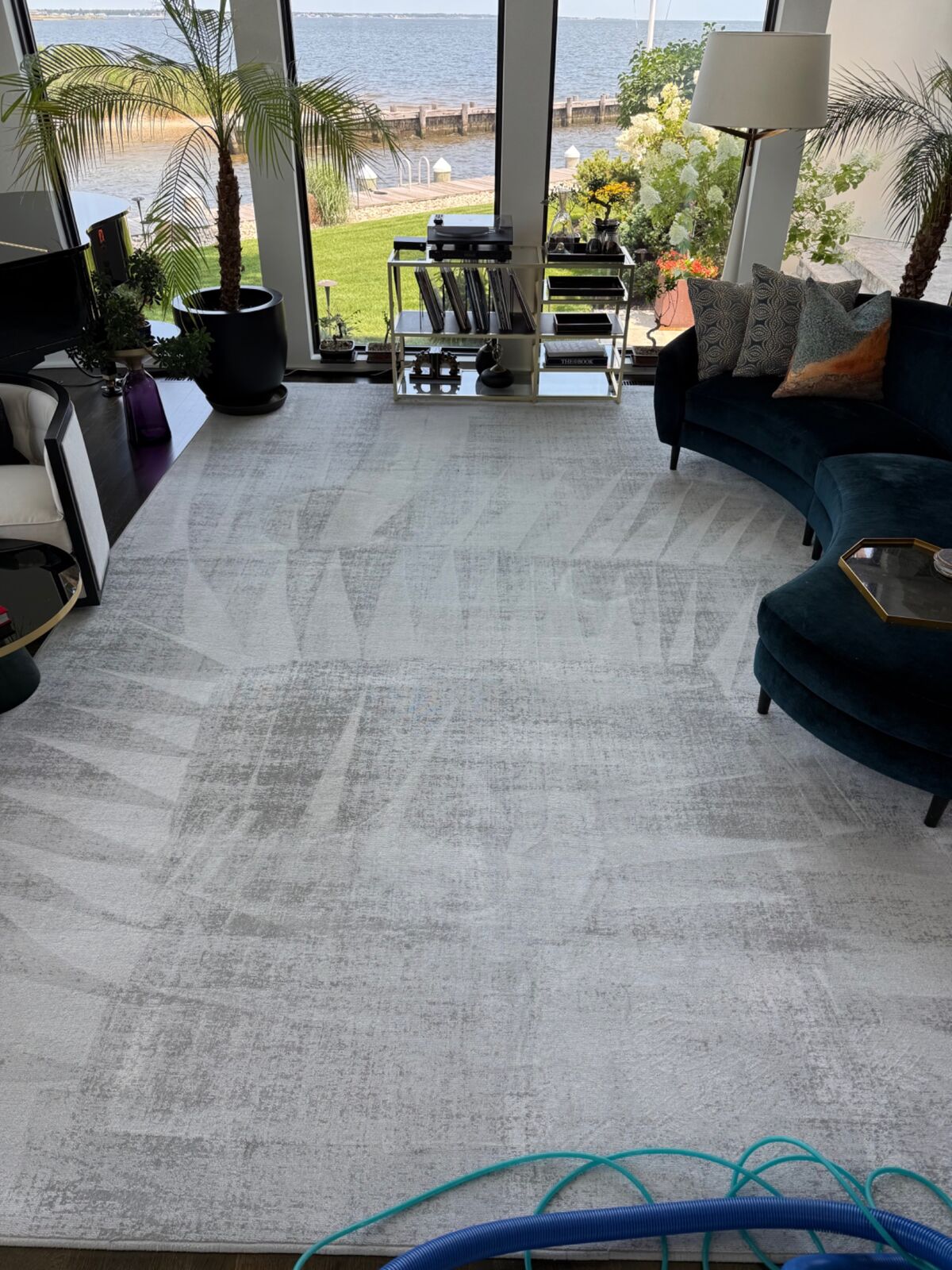 Freshly extracted carpet