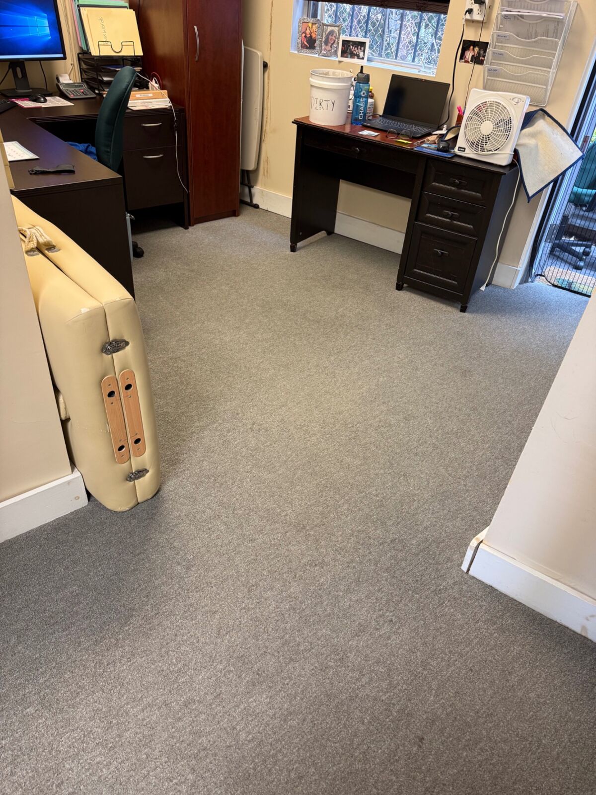 Clean home office carpet